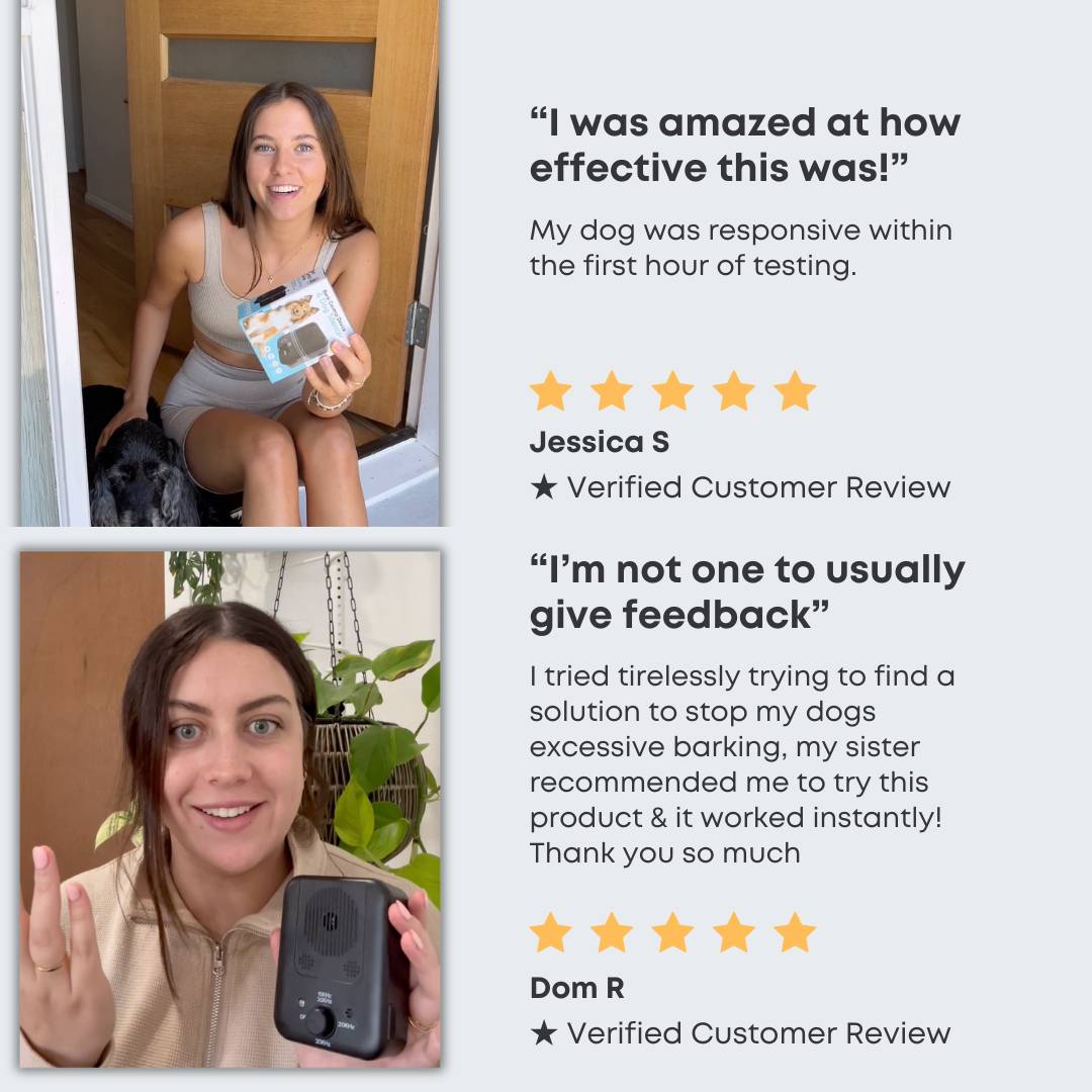 NoMoreBark™️ - BarkBuddy - 70% OFF