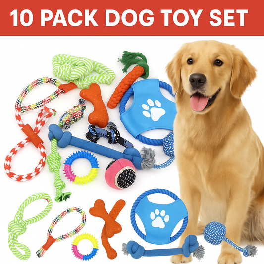 10 Pack Dog Training Toy Set