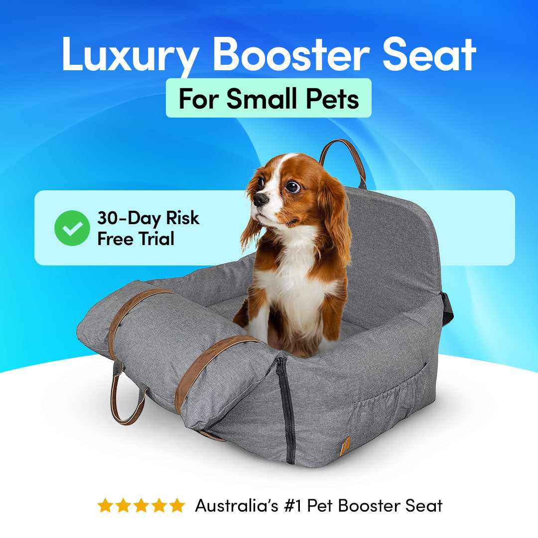 NoMoreBark™️ Luxury Booster Seat + FREE Dog Training Ebook
