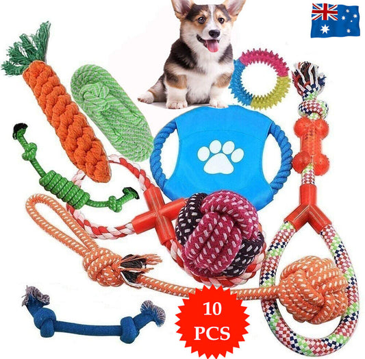 10 Pack Dog Training Toy Set