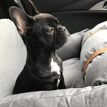 Luxury Booster Seat For Small Pets